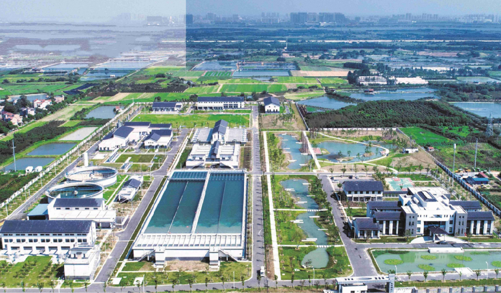市政园林